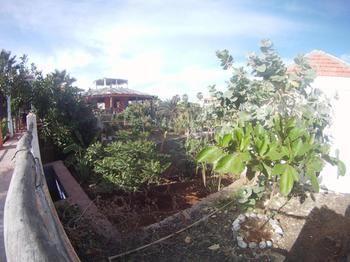 Villa Morgana Cape Verde Resort Calheta de Sao Miguel ภายนอก รูปภาพ